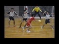 2016徳島県高校総体 最終日ハンドボール