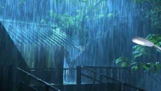 HEAVY RAIN AND THUNDER SOUNDS || RAINFOREST || STUDY || FOCUS || SLEEP