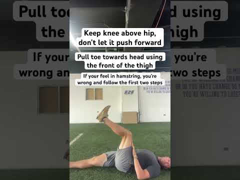 Rectus (Femoris) 2.0