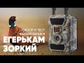 Обзор, тест и инструкция фотоловушки Егерькам Зоркий + тест в реальных условиях! | Amazin.su