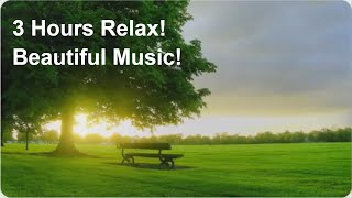 Relax Beautiful Music For Sleep. Music For Meditation, Yoga