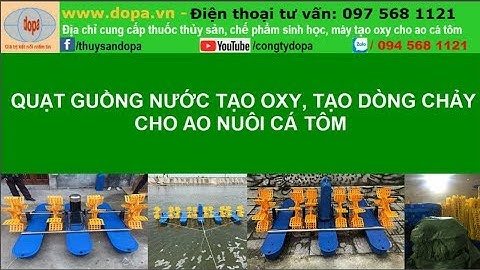Quạt Guồng Nước Phao Thuyền 4, 6, 8 Cánh Tạo Oxy Cho Cá Tôm