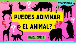 PUEDES ADIVINAR EL ANIMAL? NIVEL:DIFÍCIL || TEST DE ANIMALES || QUIZ/TRIVIA/RETO