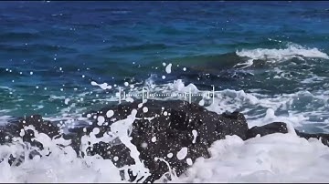 عشاء اليوم ١٤٤٤/٥/٣هـ | القارئ: عبدالرحمن أبا الخيل