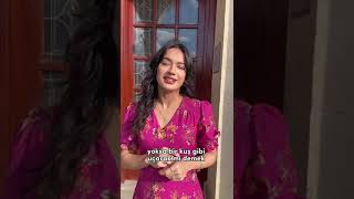 Şiba Çınar-4