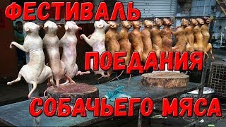 ФЕСТИВАЛЬ ПОЕДАНИЯ СОБАЧЬЕГО МЯСА ФЕСТИВАЛЬ ПОЕДАНИЯ СОБАЧЬЕГО МЯСА