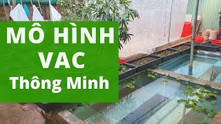 Mô Hình thông minh cho bạn trẻ khởi nghiệp nông nghiệp