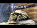 1日の終わりに。【BGMなし・テロップなし】【At the end of the day. No background music, no subtitles】