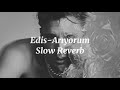 Edis Arıyorum Slow Reverb