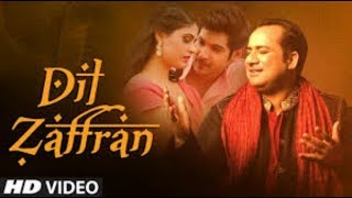 Dil Zaffran Video Song | Rahat Fateh Ali Khan | Ravi Shankar | Kamal Chandra | Shivin | Palak