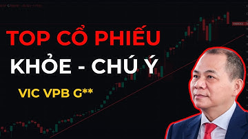 CỔ PHIẾU CẦN CHÚ Ý | DOANH NGHIỆP KHOẺ VÀ KỲ VỌNG?