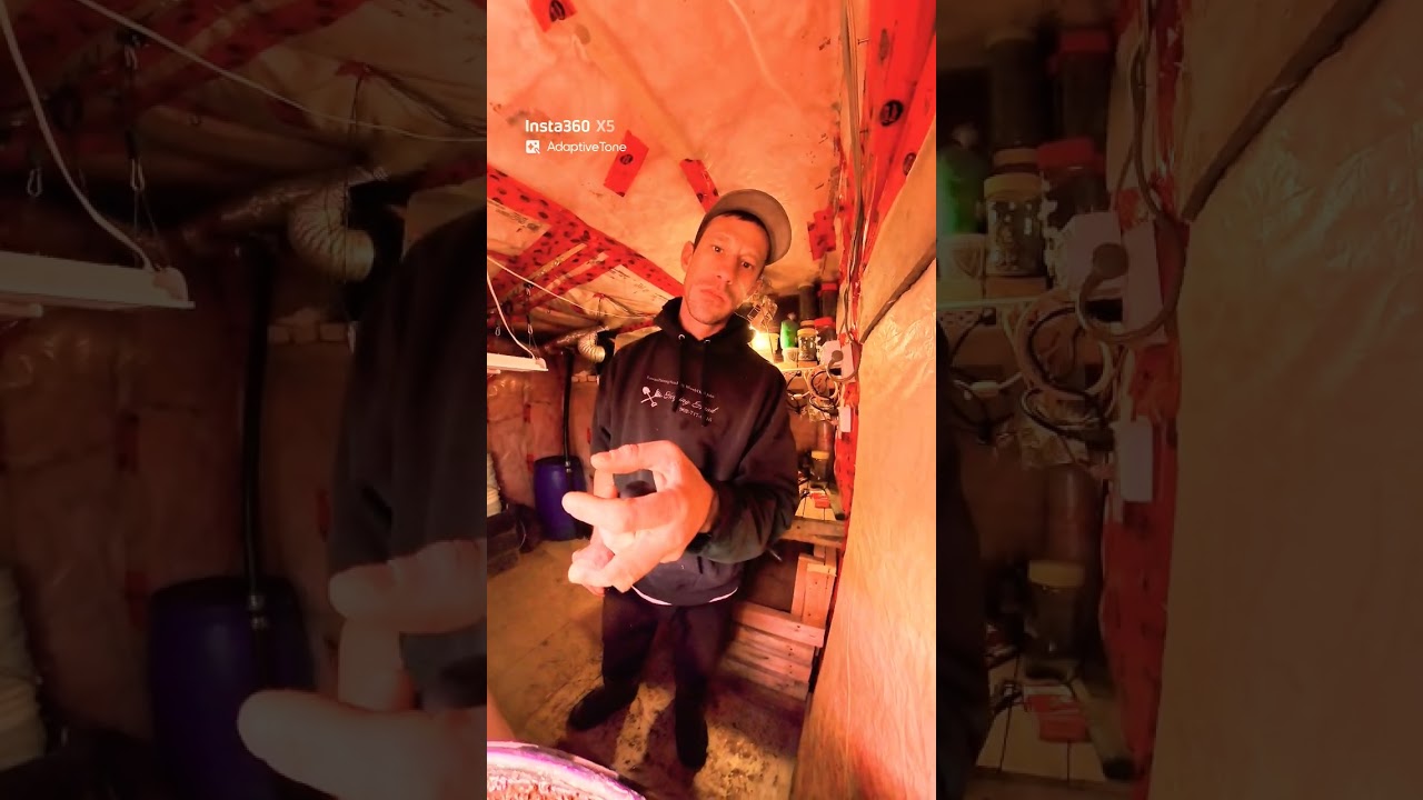 oh man, I'm thinking about firing up some high-powered lights