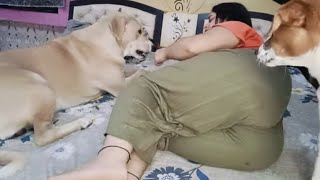 Father, Today It Has Reached The Limit How Many Are Hungry, This Stick Has To Be Eaten