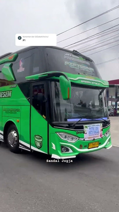 NDOROMESEM BASURI YANG PENTING HAPPY🤩 #teloletbasuri #basuri #busartis #busmania #pecintabis