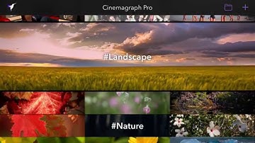 Flixel Cinemagraph Pro for iPhone and iPad Demo