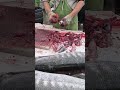 Cutting fresh barra cuda fish for Sushi! 光榮定置漁場 #fishing #freshseafood 6 MP4 4 05 30 2025 May 174860