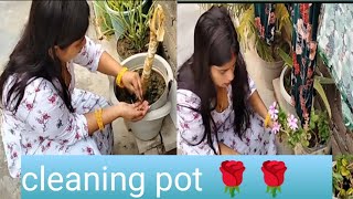 cleaning new vlog | kavya housewife vlog | plants cleaning at home | village life