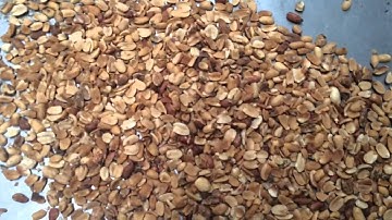 peanuts sorting video