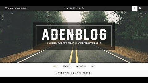Aden - WordPress Blog Theme | Simple Clean and Modern WordPress Blog Theme