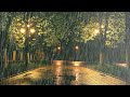 Das entspannende Regengeräusch lässt Sie einschlafen - Starker Regen im Park in der Nacht