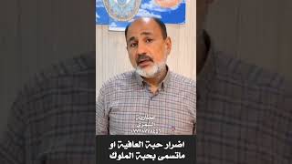 اضرار حبة العافية او ماتسمى بحبة الملوك