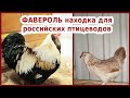 ФАВЕРОЛЬ находка для российских птицеводов