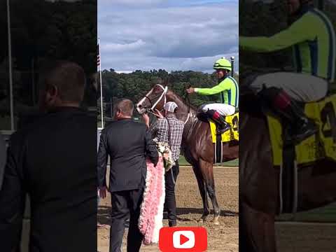 The Winner Of The Alfred G Vanderbilt G1 #horse #horseracing #jockey