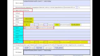 Бланк (анкета) на загранпаспорт нового образца для совершеннолетних в 2017 году: скачать, смотреть онлайн