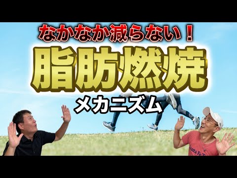 【ゆるトク！＃４８】ただ頑張るだけじゃダメ!?脂肪燃焼のメカニズムについて【ゆるトークラジオ】