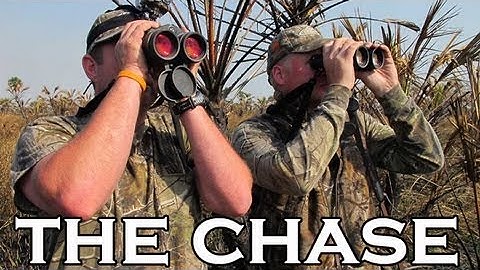 Hunting in Mozambique - Chasing Plains Game