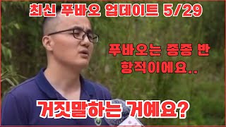 최신 푸바오 업데이트 5/29 동물원 관리인이 푸바오에 대해 뭐라고 하던가요?