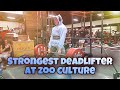 HEAVY SINGLE ON DEADLIFTS AT ZOO CULTURE W/ JEFF PERRY