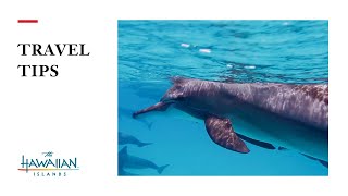 Hawai‘i Travel Tips: Ocean Conservation