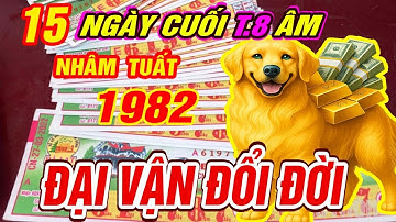 ĐẠI VẬN ĐỔI ĐỜI Tuổi NHÂM TUẤT 1982 NHẬN LỘC TỪ TRỜI TRÚNG SỐ ĐỘC ĐẮC CỰC GIÀU đúng nửa cuối T8 âm