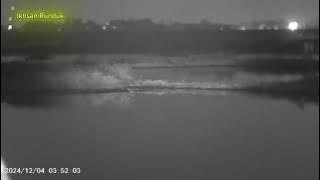Blor Burung Koak Goak dengan Kamera Night Vision NV murah jernih | #paserikan #Hunting #Blor