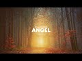 ANGEL Riddim | Reggae Beat Instrumental | Reggae Roots romantico Love instrumental | 2022