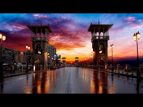 تامر عاشور ٢٠٢٢ خليني في حضك الأسكندرية حالات واتساب ستوري