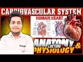Cardiovascular System| Human Heart |L5| Anatomy & Physiology | PD Academy Medical |