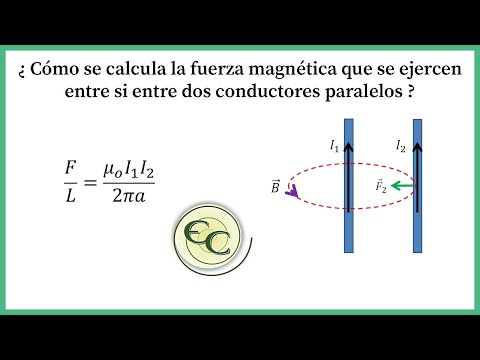 Vídeo: Conductor De Líneas Paralelas