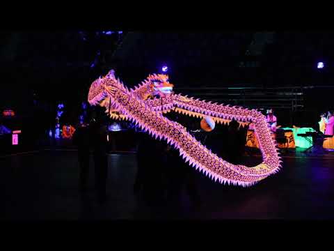 鱷魚恤世界賽 2020 Crocodile World Championships 2020 冠軍 Champion 香港 Hong Kong 郭氏 Kwok's 20200111