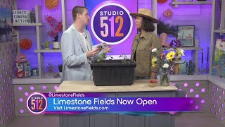 Limestone Fields Texas Retreat: Farm Stays, Tomato Tips & Digital Detox Near Austin