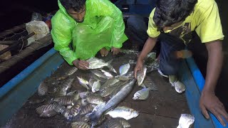 Net fishing video || जाल से मछली पकड़ी || #fishing @bablusolkar