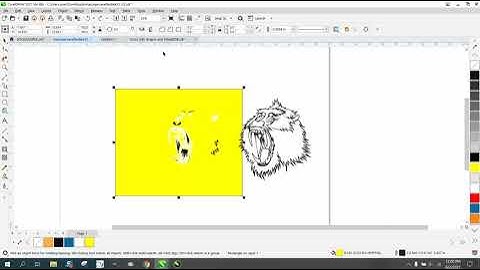 Corel Draw Tips & Tricks Remove white backgound just nudge it over