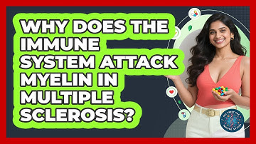 Why Does The Immune System Attack Myelin In Multiple Sclerosis? - All About the Immune System