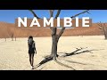 Road trip et safari en namibie  notre best voyage ever  
