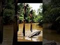 African Fulani Men Using Long Stick To Cross A River Full Of Crocodiles Usa India Ai Aishorts