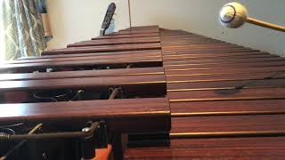 He’s a Pirate – Pirates of the Caribbean on Marimba