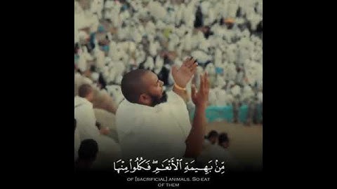 ما تيسر من سورة الحج بصوت الشيخ ياسر الدوسري 🤍