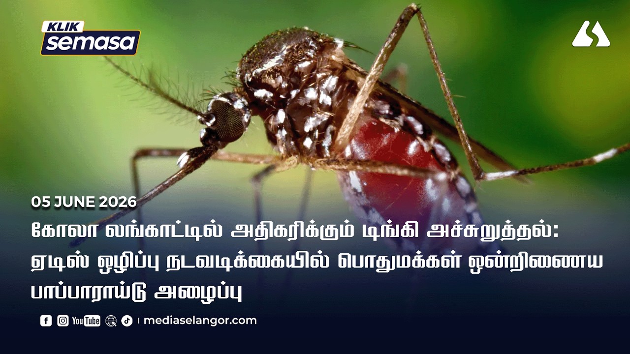 527 kes denggi, satu kematian di Kuala Langat setakat Mei, penduduk digesa perangi Aedes