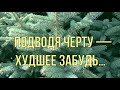 МУДРЫЕ МЫСЛИ 🚗🚕🚙🚌 ПОДВОДЯ ЧЕРТУ - ХУДШЕЕ ЗАБУДЬ 🚎✈️🚐🚔⛴  ВИБИРАЕТ ПУТЬ КАЖДЫЙ ДЛЯ СЕБЯ 🚗🚕🚙🚌🚎✈️🚐🚔⛴